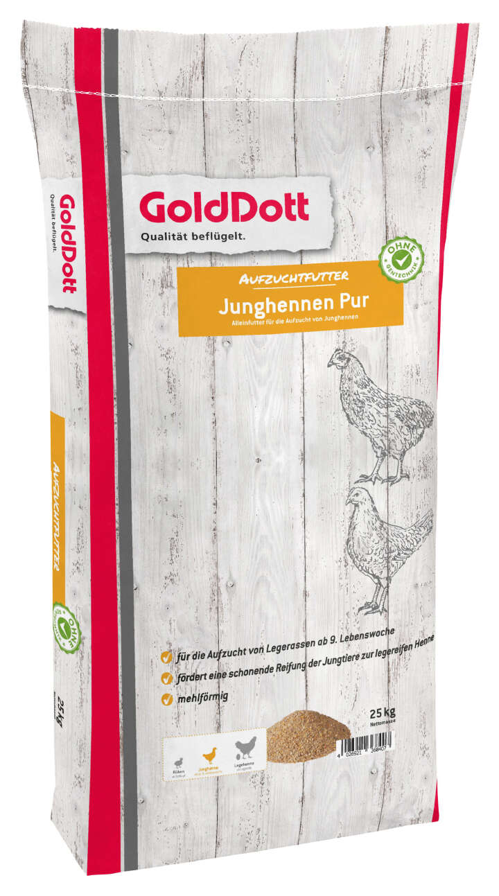 Golddott Junghennen Pur